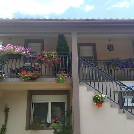 Studio Kaca Cetinje Bilik gambar