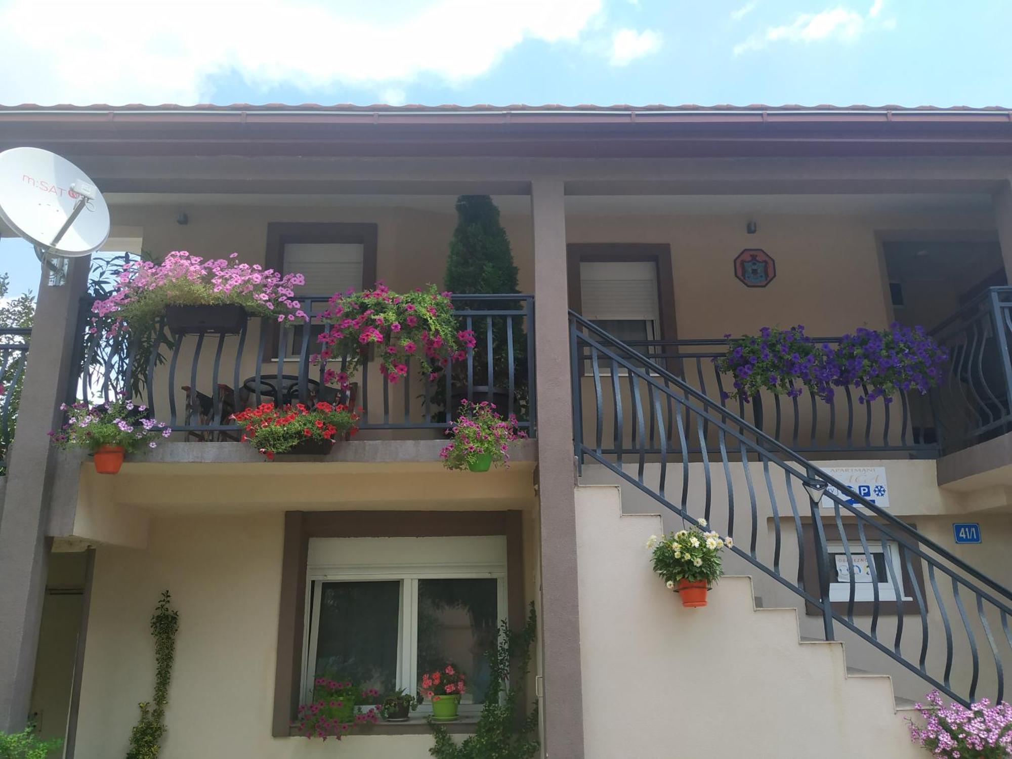 Studio Kaca Cetinje Bilik gambar